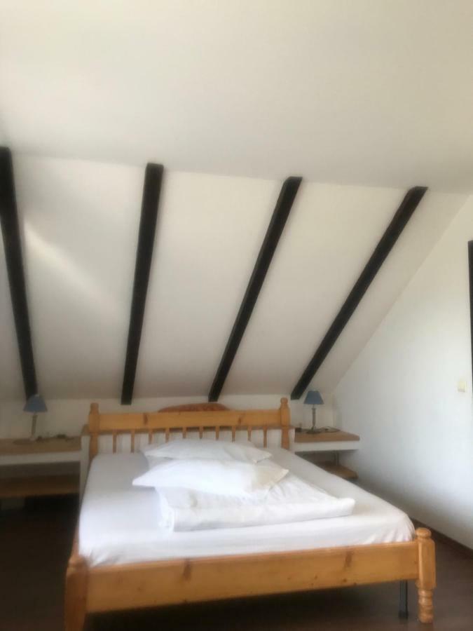 Rîşnov Casa Csiki 빌라 외부 사진